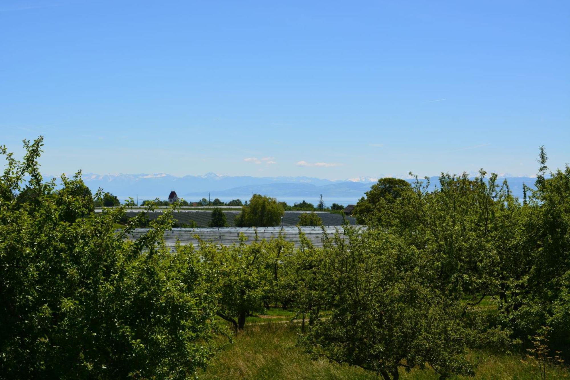 Ferienwohnung Plocher Immenstaad am Bodensee Exteriér fotografie